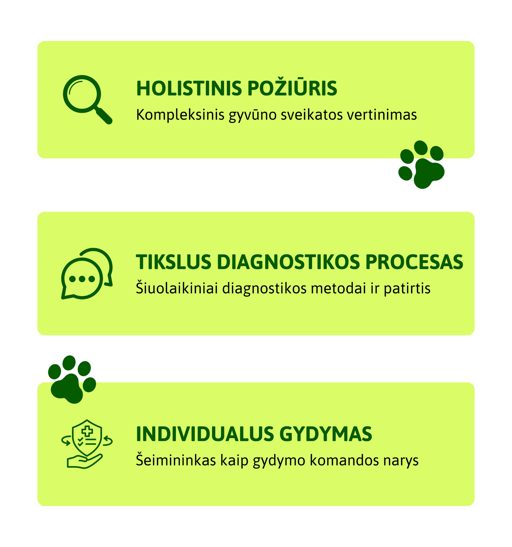 JPVET metodika Holistinis požiūris, tikslus diagnostikos procesas, individualus gydymas